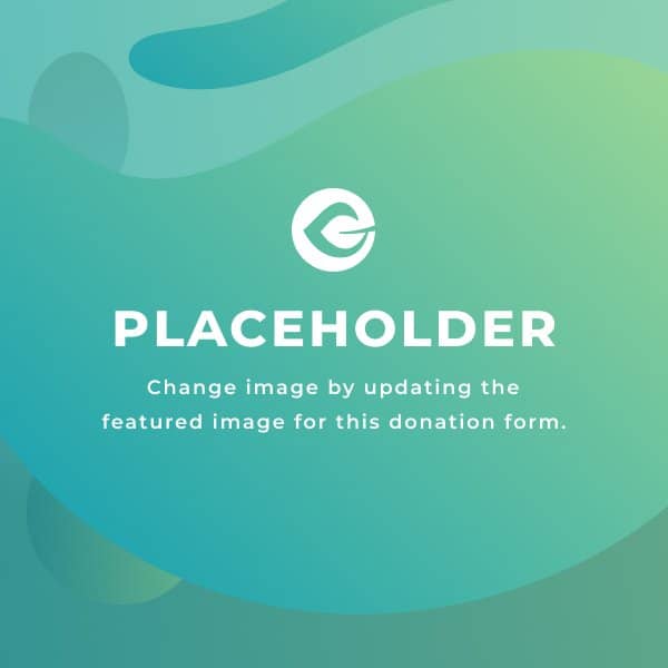 Placeholder